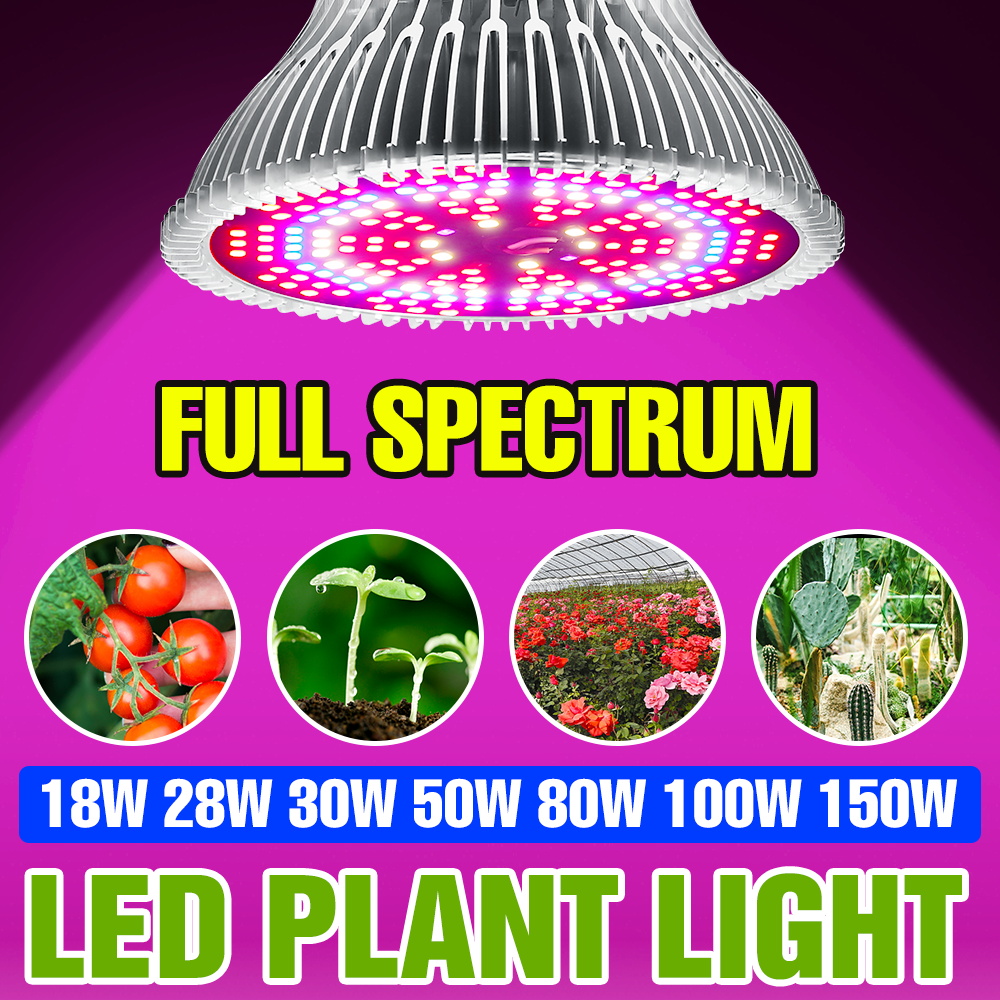 Aquarium Plant Root Tabs - 150W E27 Volledig spectrum plantenlamp Indoor