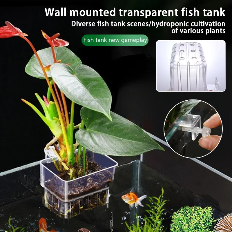 Aquarium Plant Ornament - Aquarium hangende plantenbakjes, wandgemonteerde houder voor