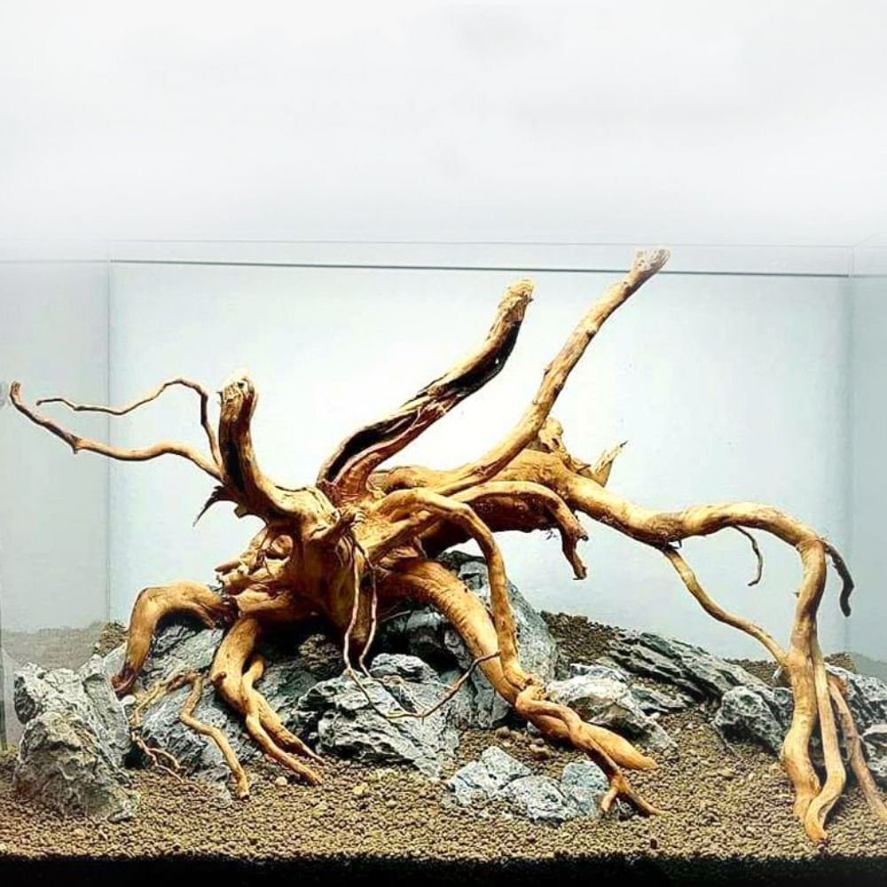 Aquarium Plant Roots - Natuurlijke Boomstam Aquarium Decoratie Hout Kunstwerk