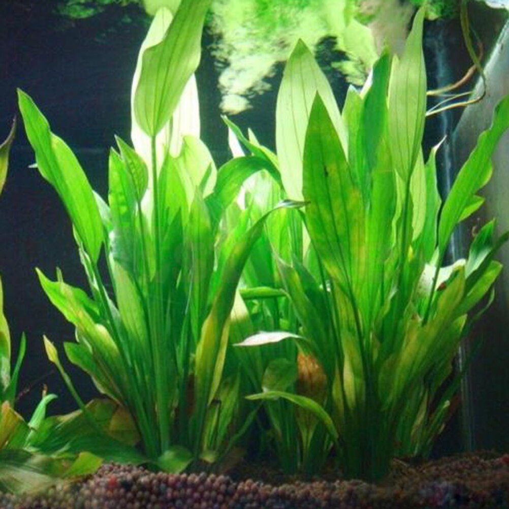 Aquarium Plant Live - 15 cm Kunstmatige Aquarium Decor Planten