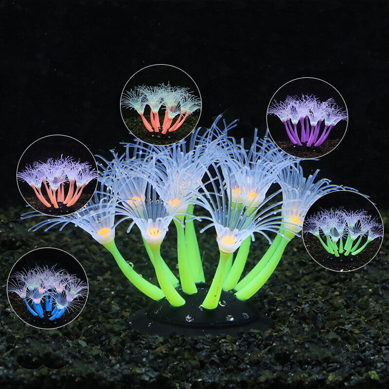 Siliconen gloeiende landschaps - Aquarium Plant Live recensie en prijs