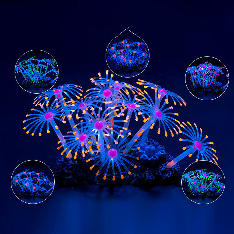 Siliconen gloeiende landschaps - Aquarium Plant Live recensie en prijs