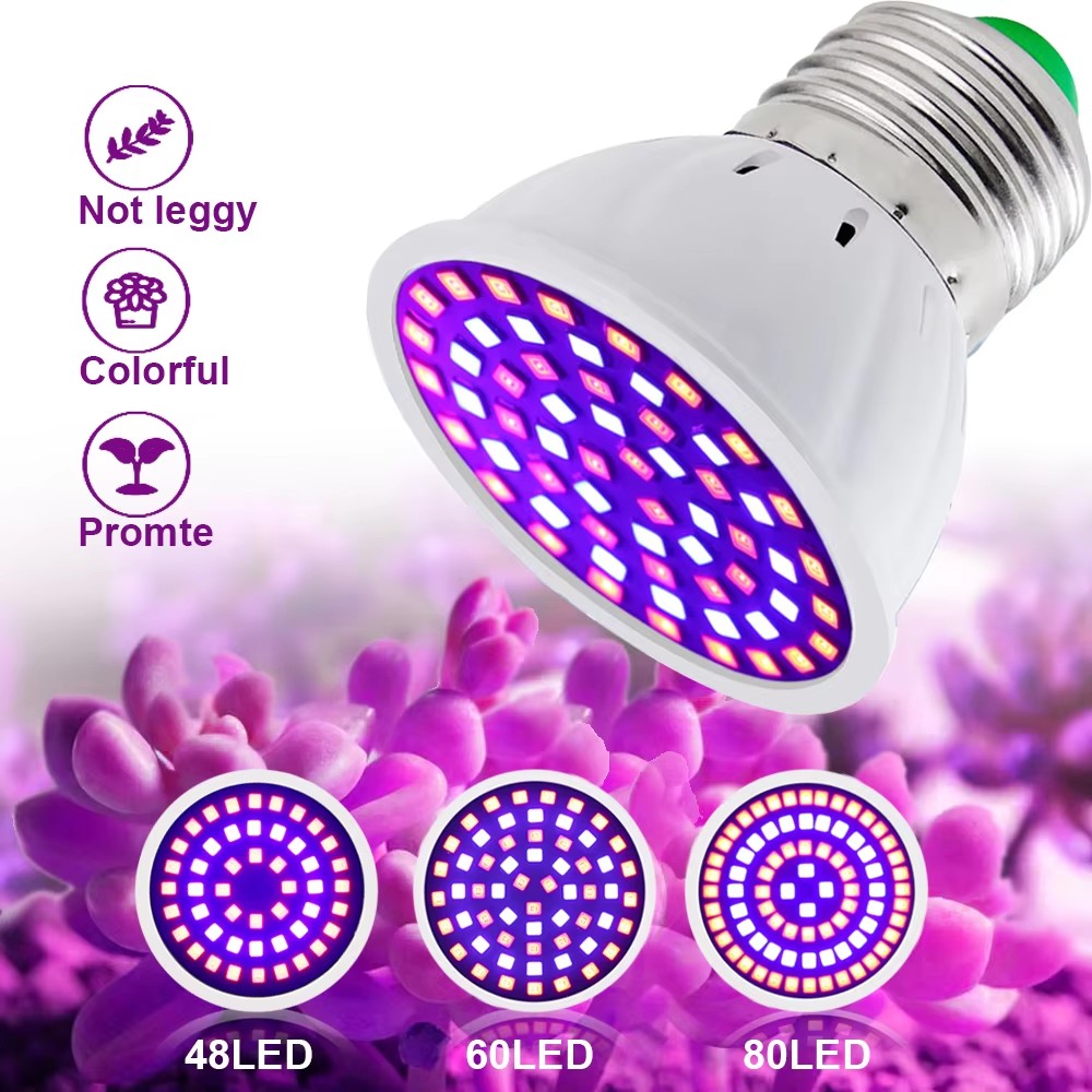 2 stks/partij LED Grow Gloeila - Aquarium Plant Root Tabs recensie en prijs