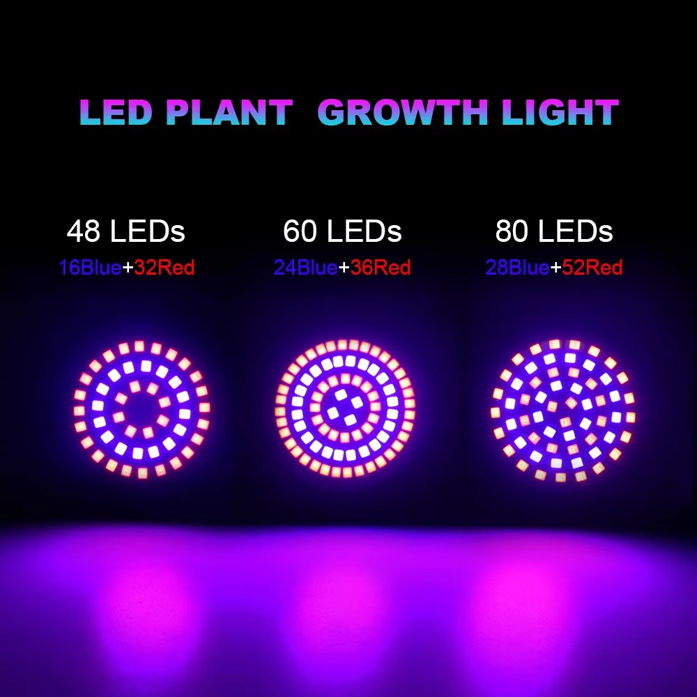 2 stks/partij LED Grow Gloeila - Aquarium Plant Root Tabs recensie en prijs