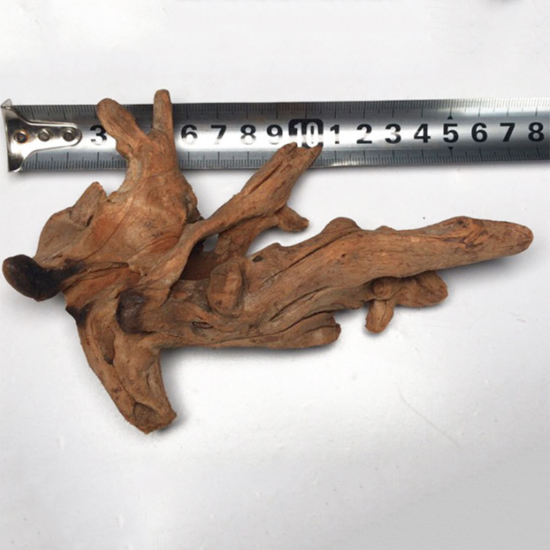 Natuurlijke Boomstam Aquarium  - Aquarium Plant Root Tabs recensie en prijs