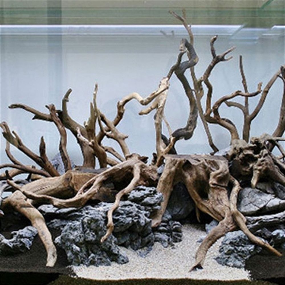 Nieuwe Natuurlijke Houten Aqua - Aquarium Plant Root Tabs recensie en prijs