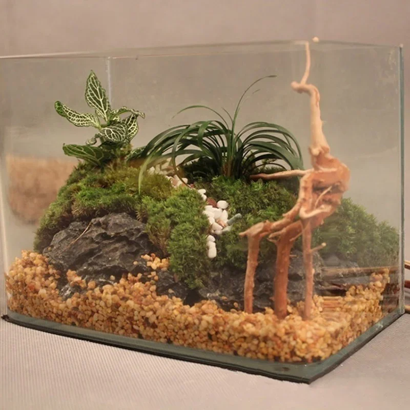Natuurlijke Boomstam Drijfhout - Aquarium Plant Root Tabs recensie en prijs