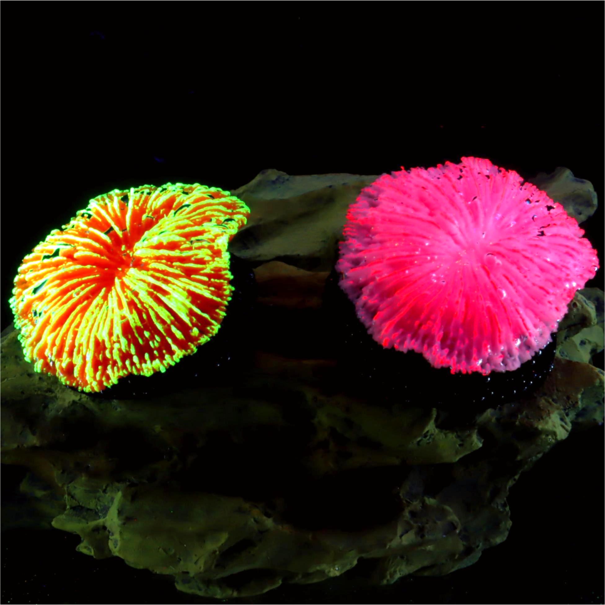 1 piece aquarium decoration sa - Aquarium Plant Live recensie en prijs