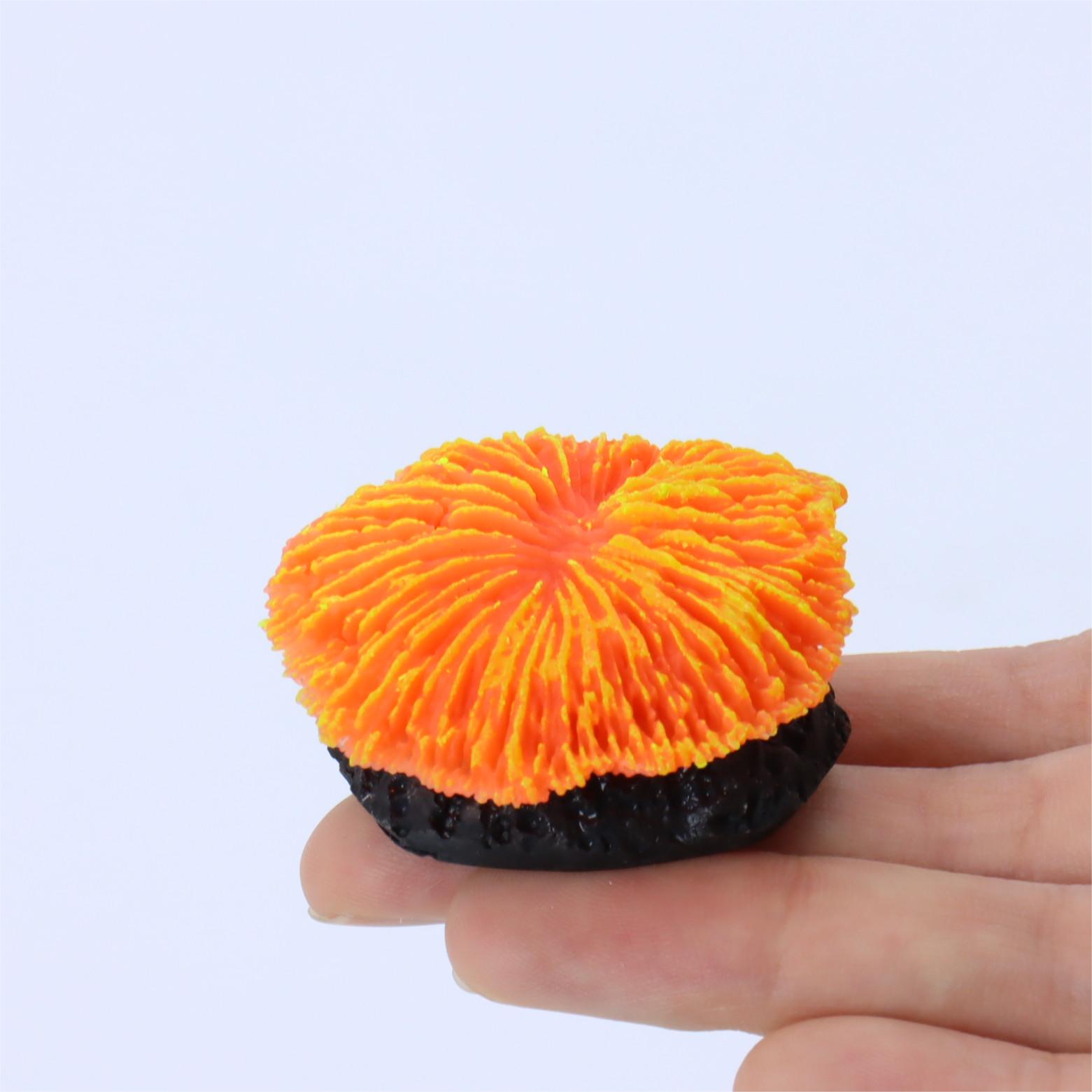 1 piece aquarium decoration sa - Aquarium Plant Live recensie en prijs