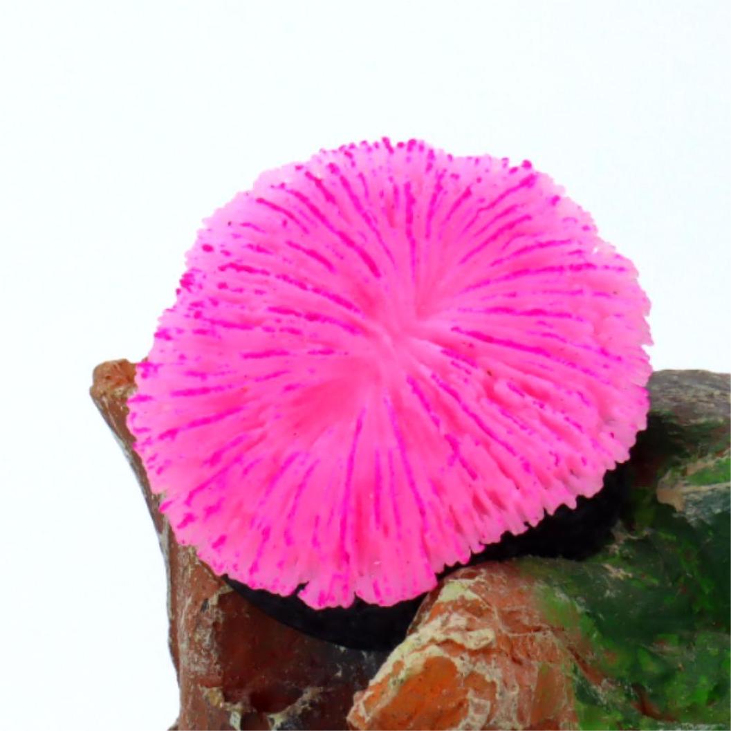 1 piece aquarium decoration sa - Aquarium Plant Live recensie en prijs