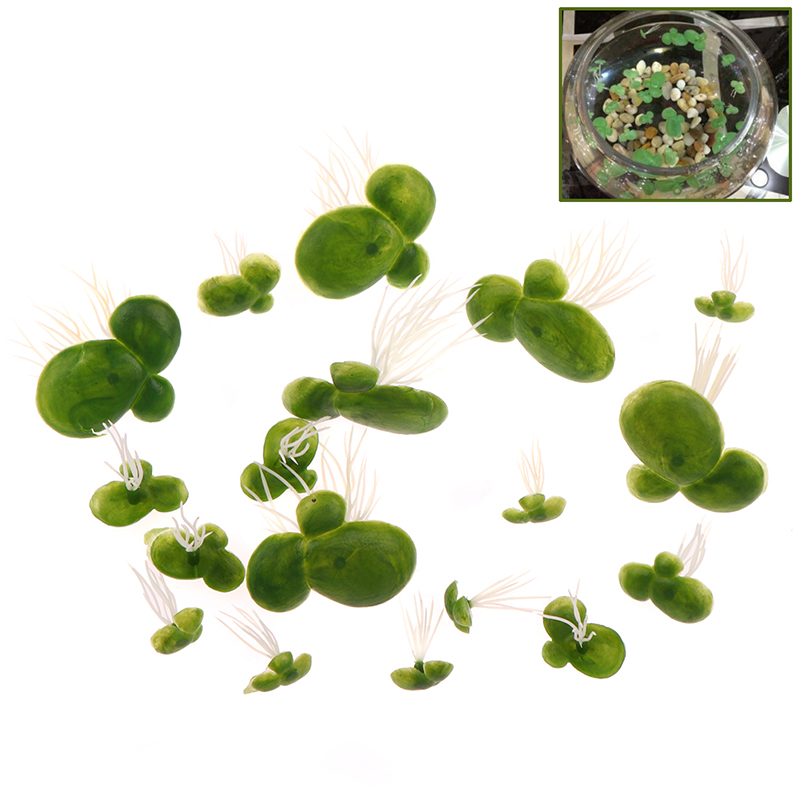 18 Stks/set Aquarium Aquarium  - Aquarium Plant Roots recensie en prijs