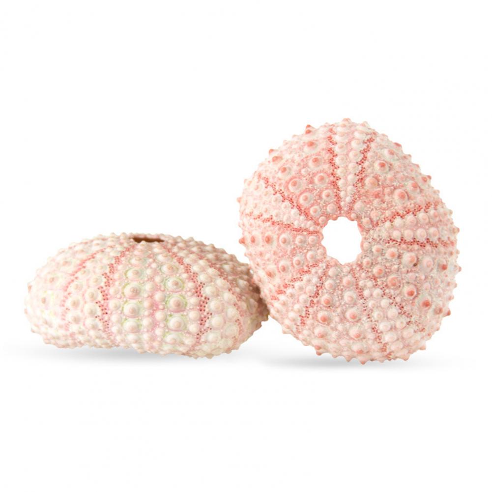 5 cm-6 cm Sea Shell Conch Orna - Planted Aquarium Air Stone recensie en prijs