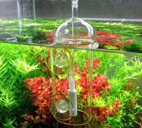 VIV Do Apparaat Aquarium Cilin - Aquarium Plant Live recensie en prijs