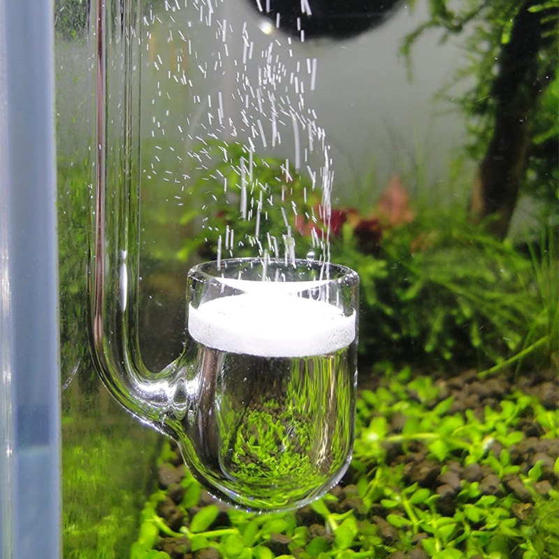 Glas CO2 Diffuser Transparante - Glass Co2 Drop Checker recensie en prijs