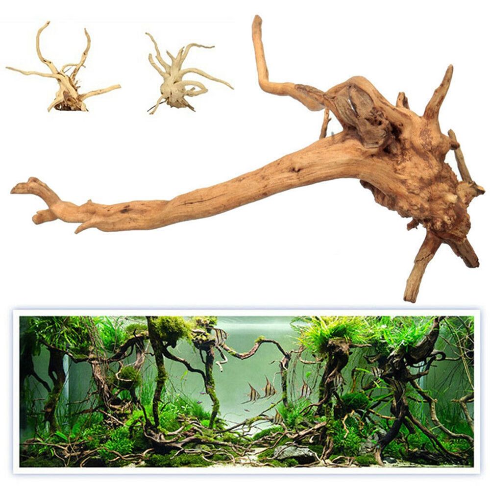 1 stks Hout Natuurlijke Koffer - Aquarium Plant Root Tabs recensie en prijs