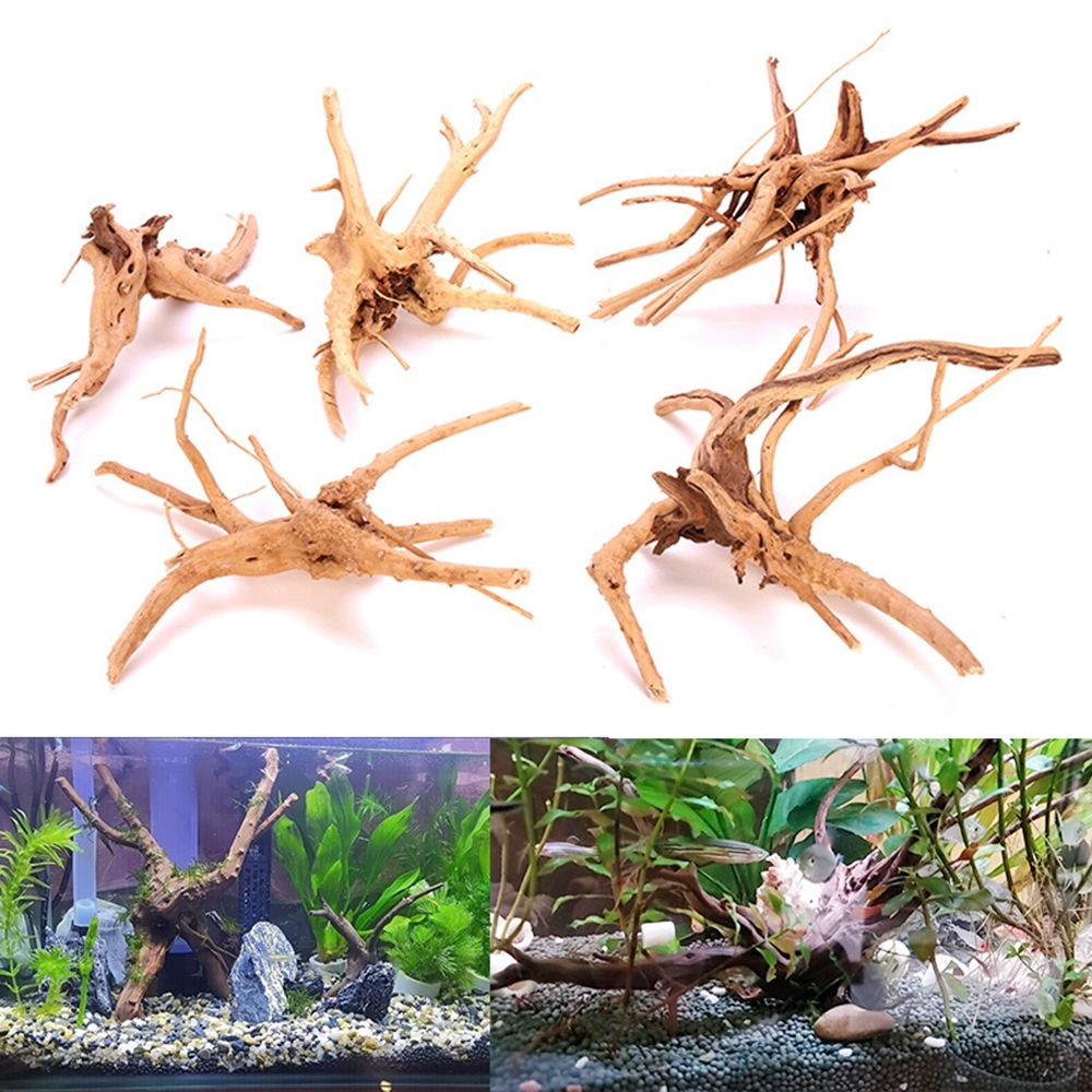 1 stks Hout Natuurlijke Koffer - Aquarium Plant Root Tabs recensie en prijs