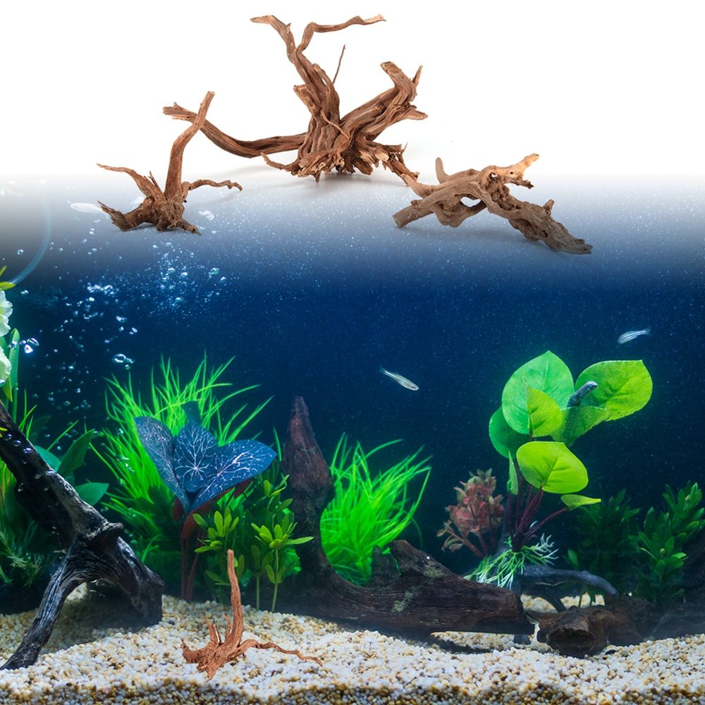 1 stks Hout Natuurlijke Koffer - Aquarium Plant Root Tabs recensie en prijs