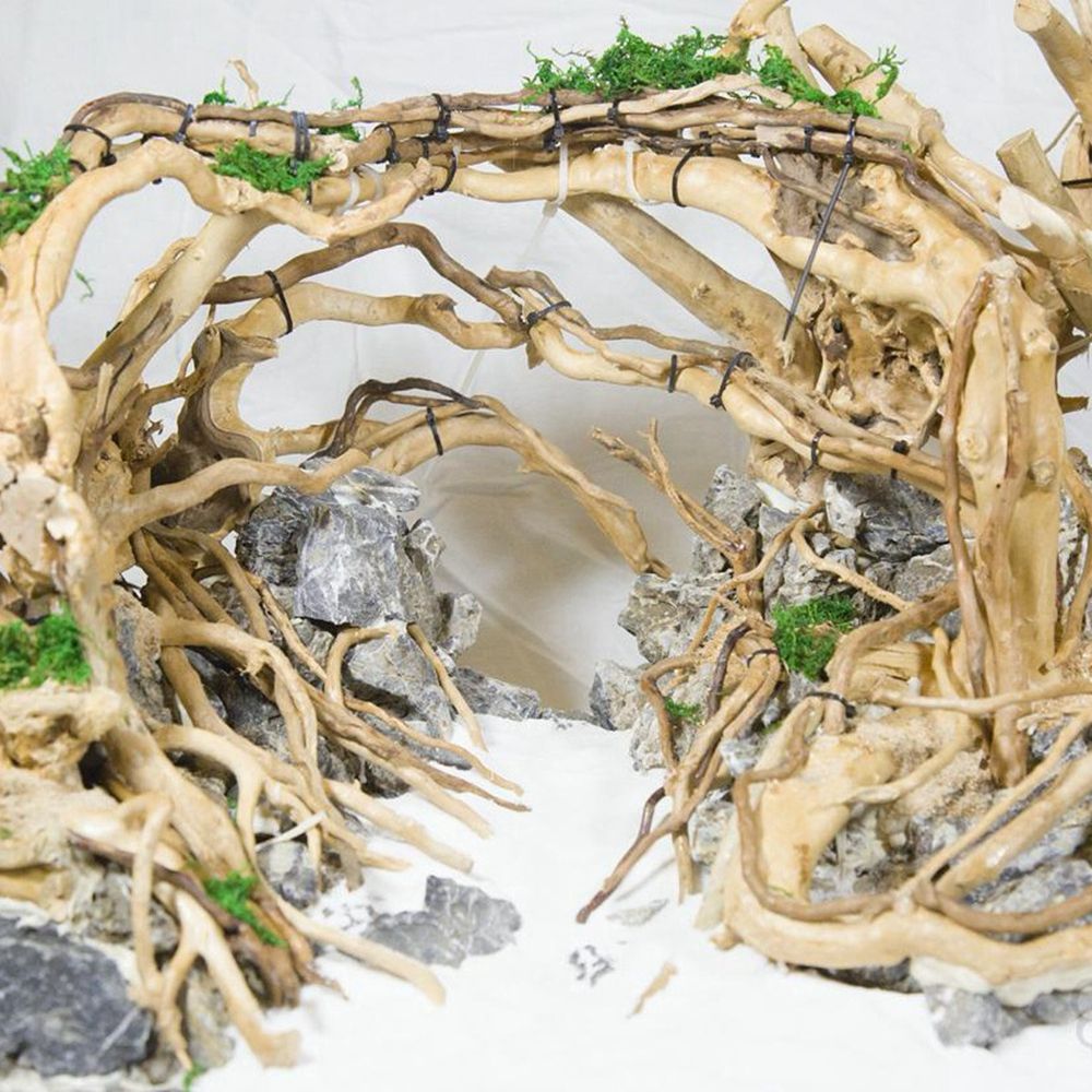 Hout N1N Landschapsarchitectuu - Aquarium Plant Roots recensie en prijs