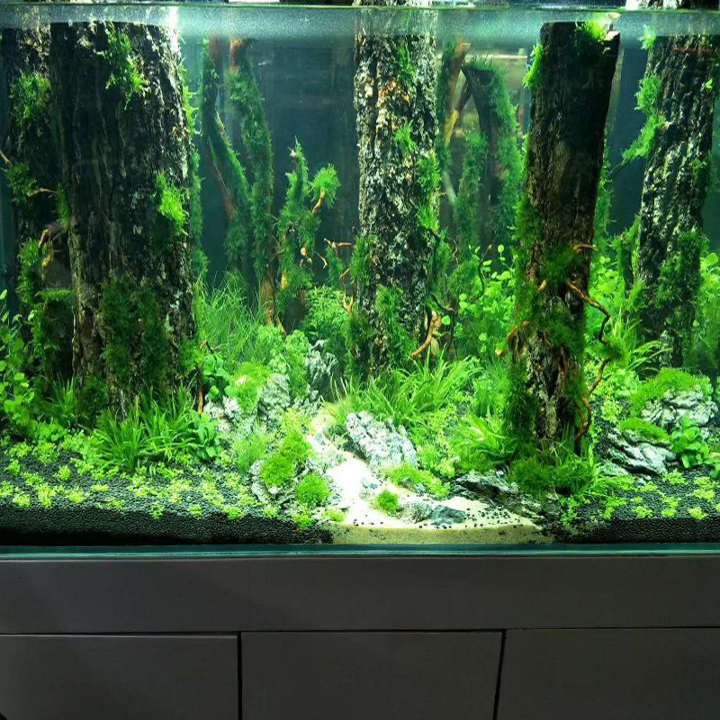 Simulatie Boom Kofferbak Sinki - Aquarium Plant Root Tabs recensie en prijs