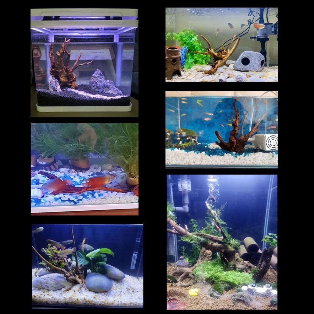 Natuurlijke Boomstam Aquarium  - Aquarium Plant Roots recensie en prijs
