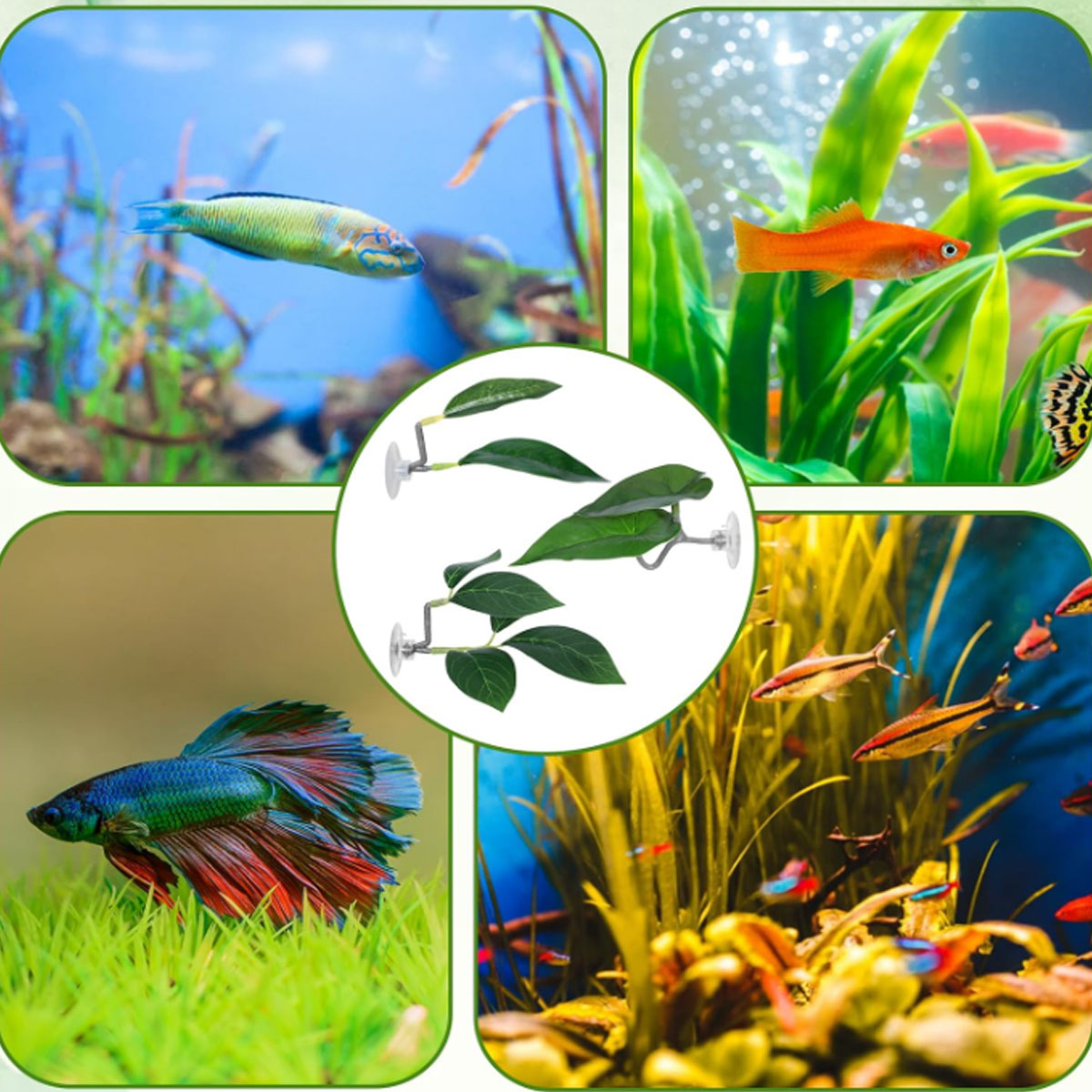 1 PC Betta Vis Hangmat Zacht A - Aquarium Plant Ornament recensie en prijs
