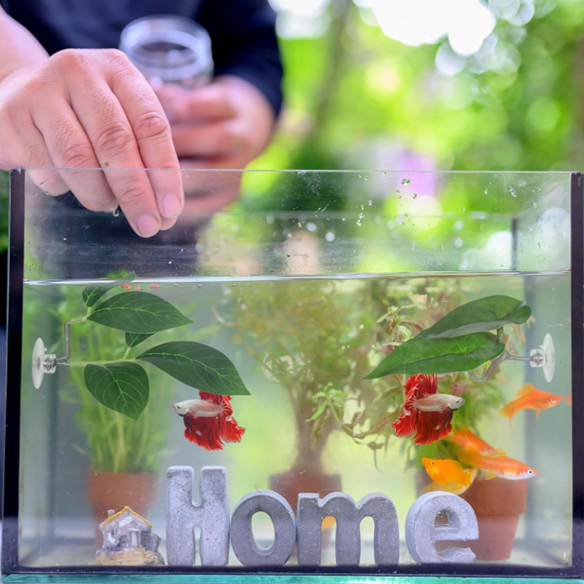 1 PC Betta Vis Hangmat Zacht A - Aquarium Plant Ornament recensie en prijs