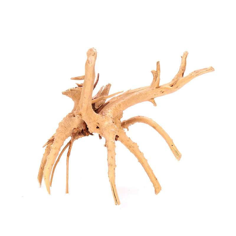 4 STUKS Natuurlijke Houten Aqu - Aquarium Plant Root Tabs recensie en prijs