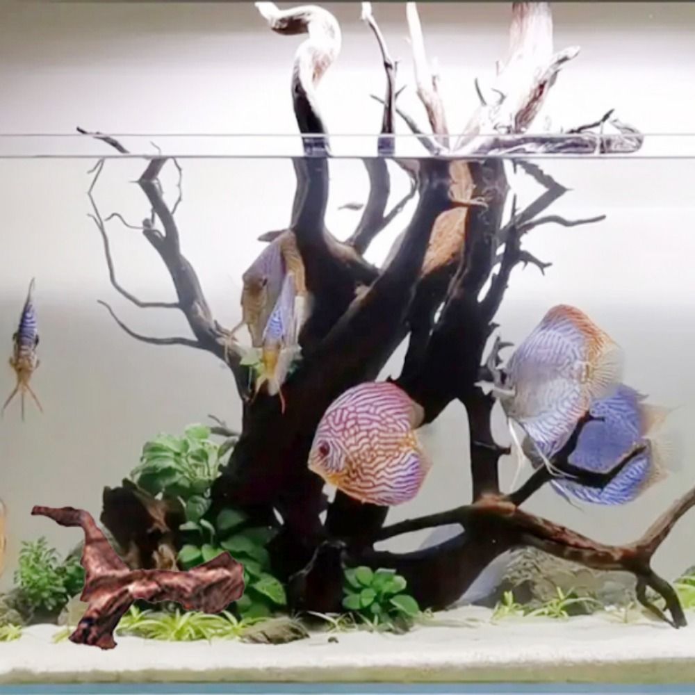 Creatief gevormd koraalhout, n - Aquarium Plant Roots recensie en prijs