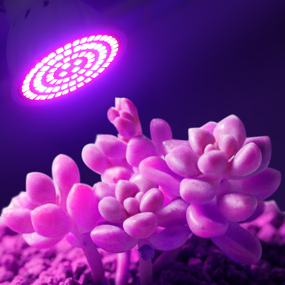 Led Grow Lamp 220V E27 60 80LE - Aquarium Plant Root Tabs recensie en prijs