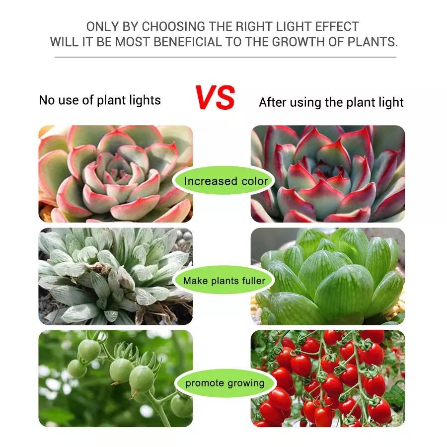 Volledige Spectrum 5V USB Plan - Planted Aquarium Hours recensie en prijs