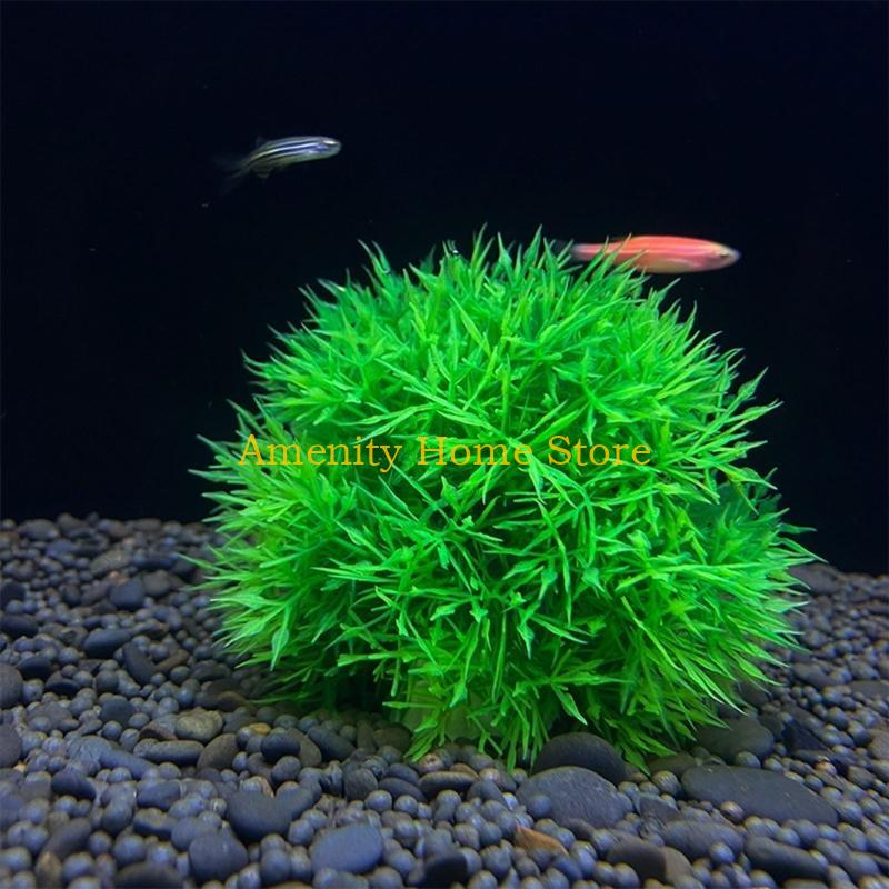 F26C Groene kunstmatige Marimo - Aquarium Plant Roots recensie en prijs