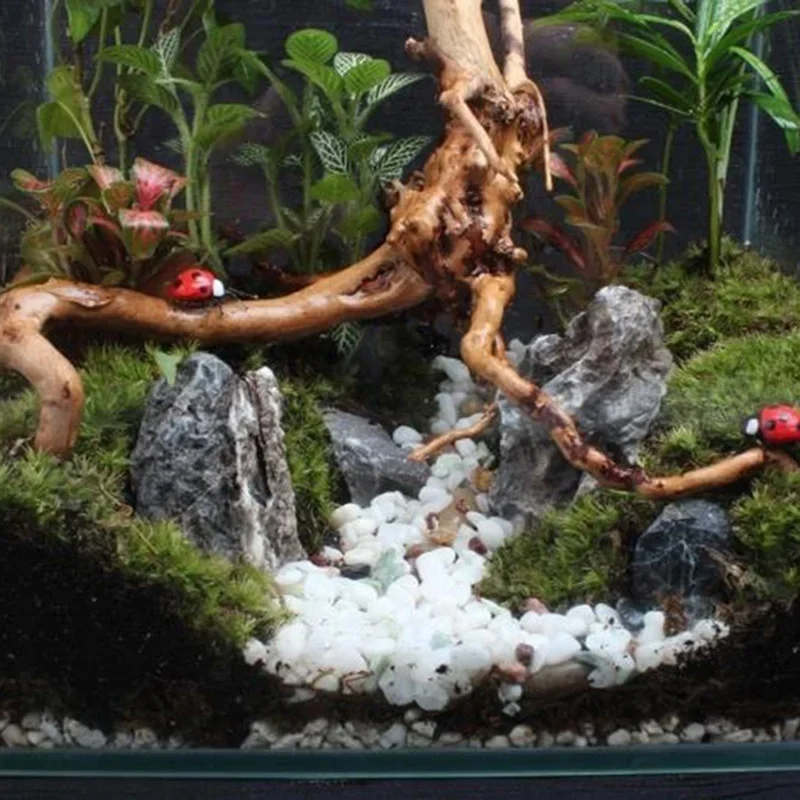 Natuurlijke Boomstam Drijfhout - Aquarium Plant Root Tabs recensie en prijs