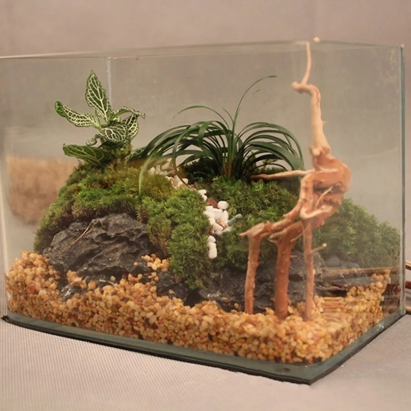 Natuurlijke Boomstam Drijfhout - Aquarium Plant Root Tabs recensie en prijs
