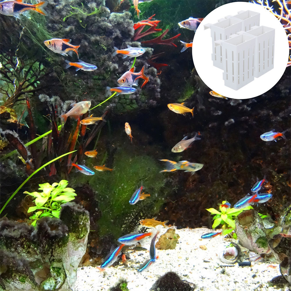 4-delige aquariumplantenmand v - Aquarium Plant Roots recensie en prijs